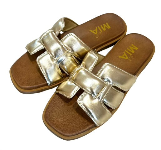 Elayne Sandal