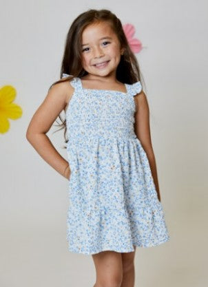 Blue Eyelet Floral Dress