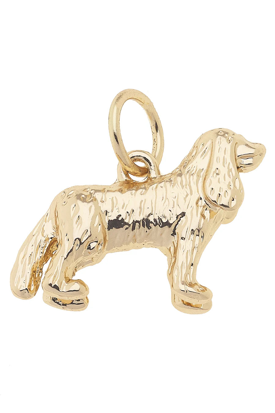 King Charles Cav. Dog Charm
