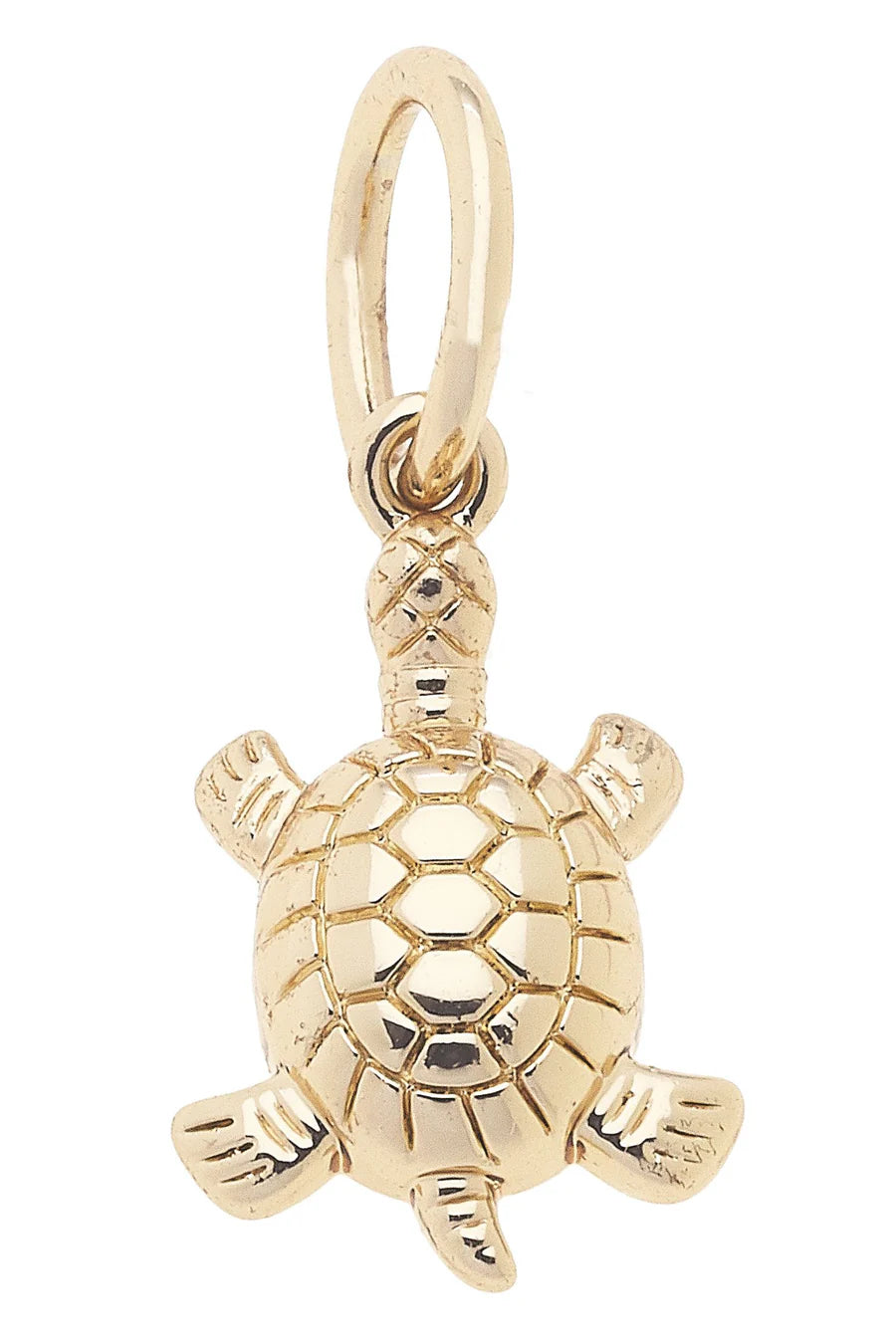 Sea Turtle Charm