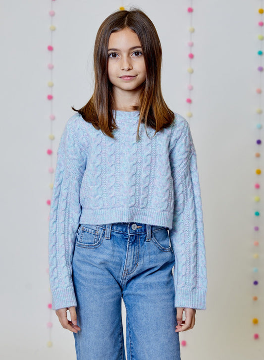 Blue Pink Combo Sweater