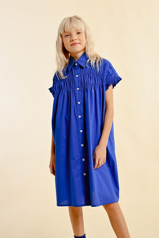 Royal Button Down Sundress